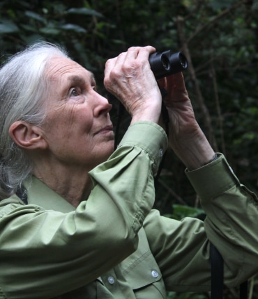 Jane Goodall